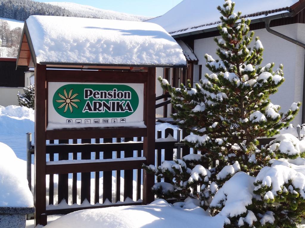 Pension Arnika Destne v Orlickych horach Exteriér fotografie